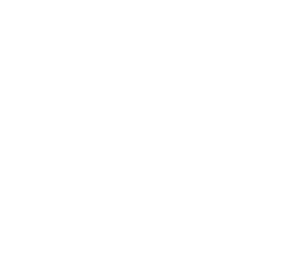 Dometria Connect